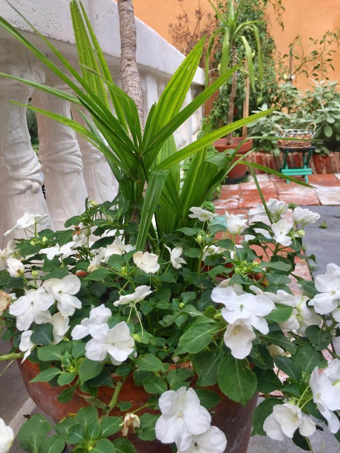 Residenza Di Prestigio In Riva Al Lago Marone Loft 外观 照片